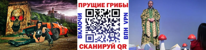 Галлюциногенные грибы Cubensis  Чердынь 